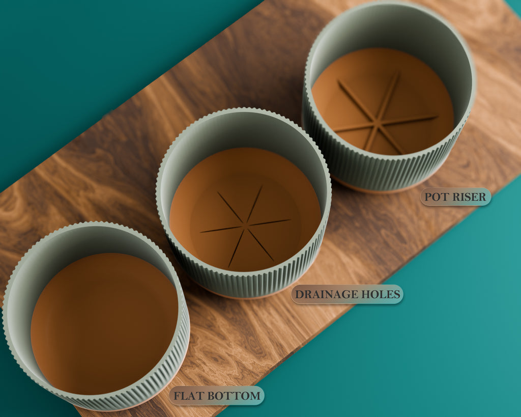 The Rivo — Rhythm in Every Line