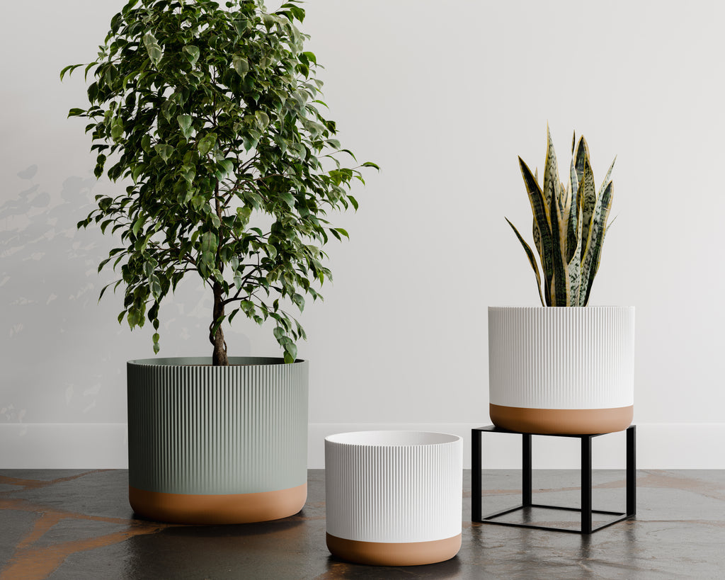 The Rivo — Rhythm in Every Line