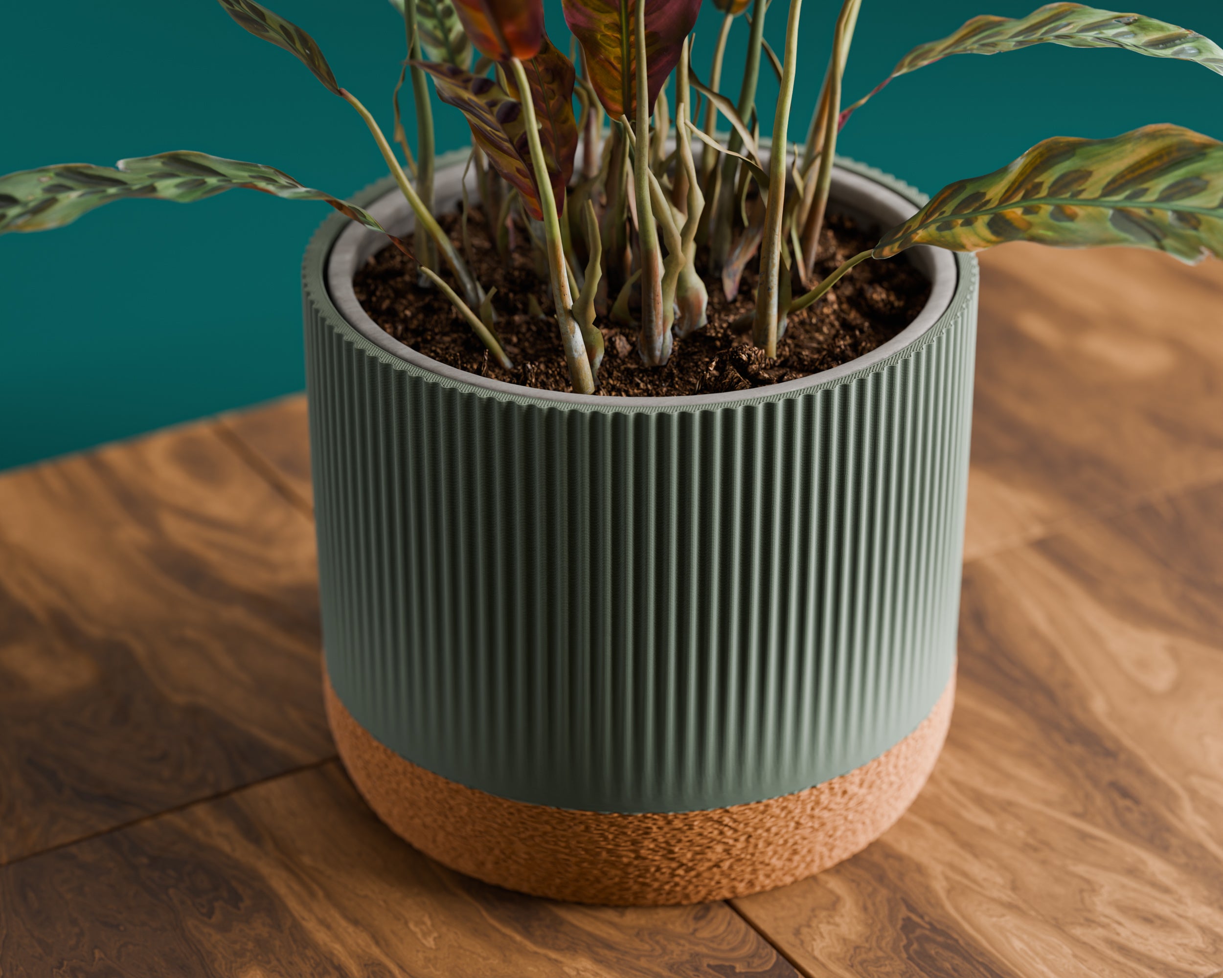 The Rivo — Rhythm in Every Line