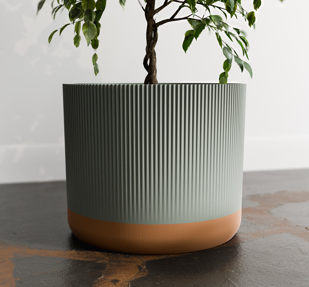 The Rivo — Rhythm in Every Line