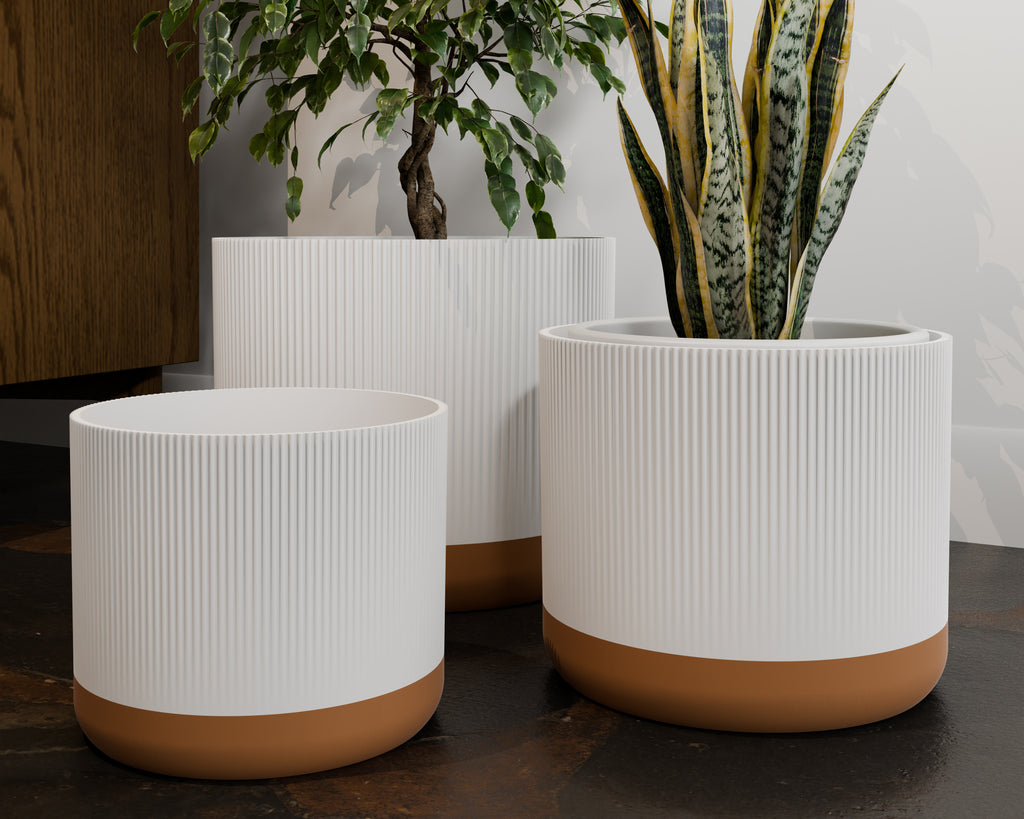 The Rivo — Rhythm in Every Line