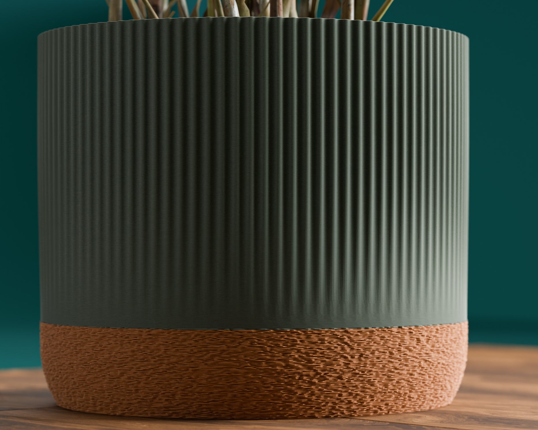 The Rivo — Rhythm in Every Line